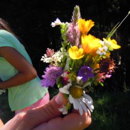 Herbstwanderung 2016